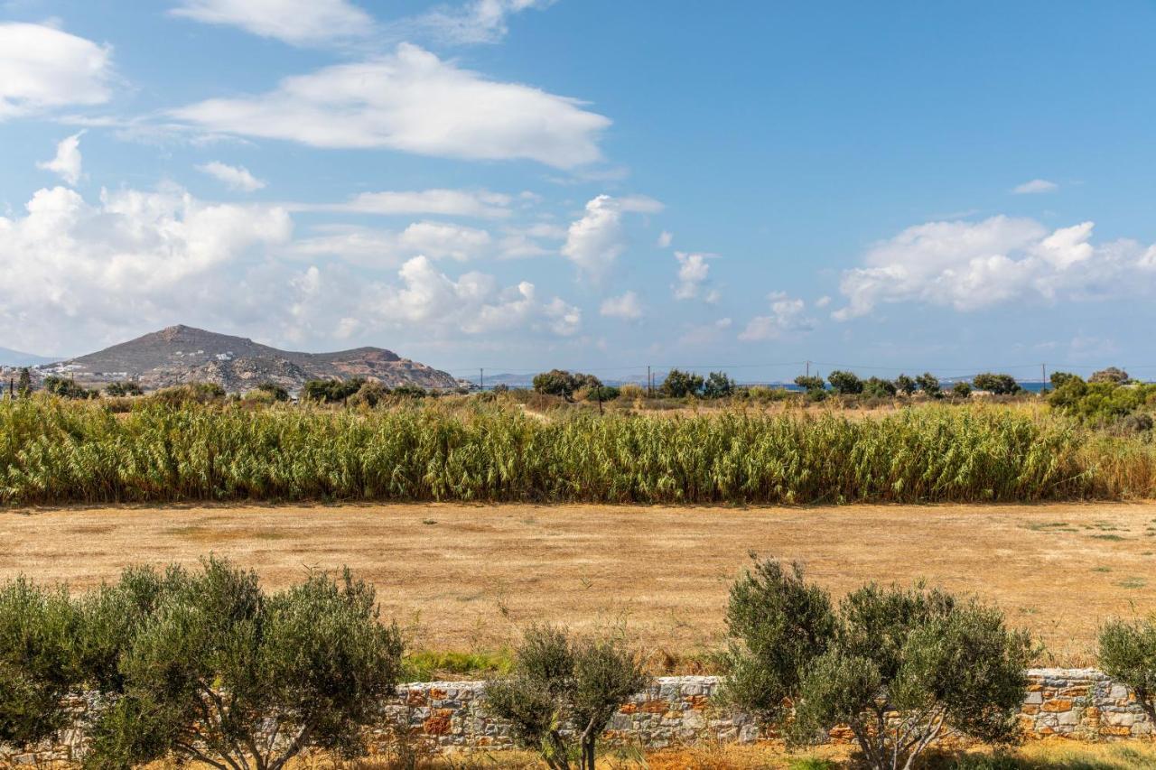 Surfer Paradise Naxos City المظهر الخارجي الصورة